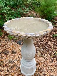 Bird Bath